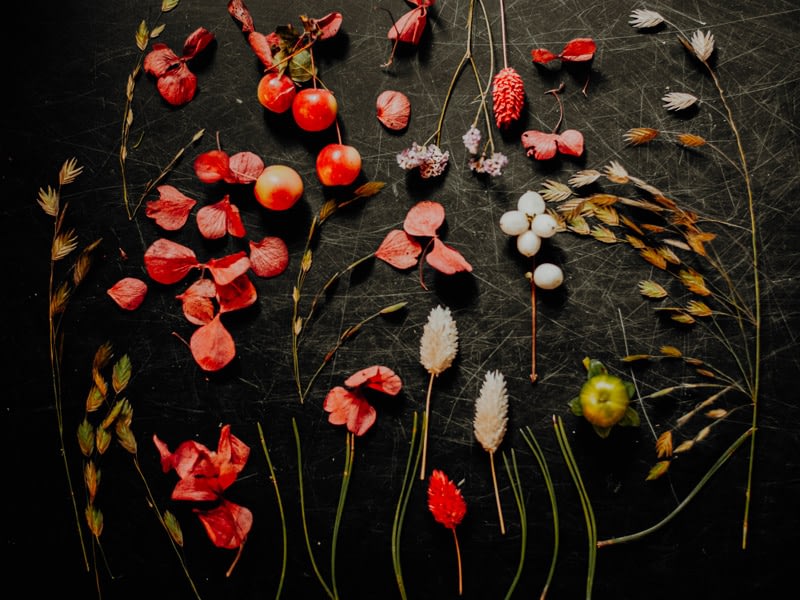 Compositions automnales avec branchages et fleurs de saisons