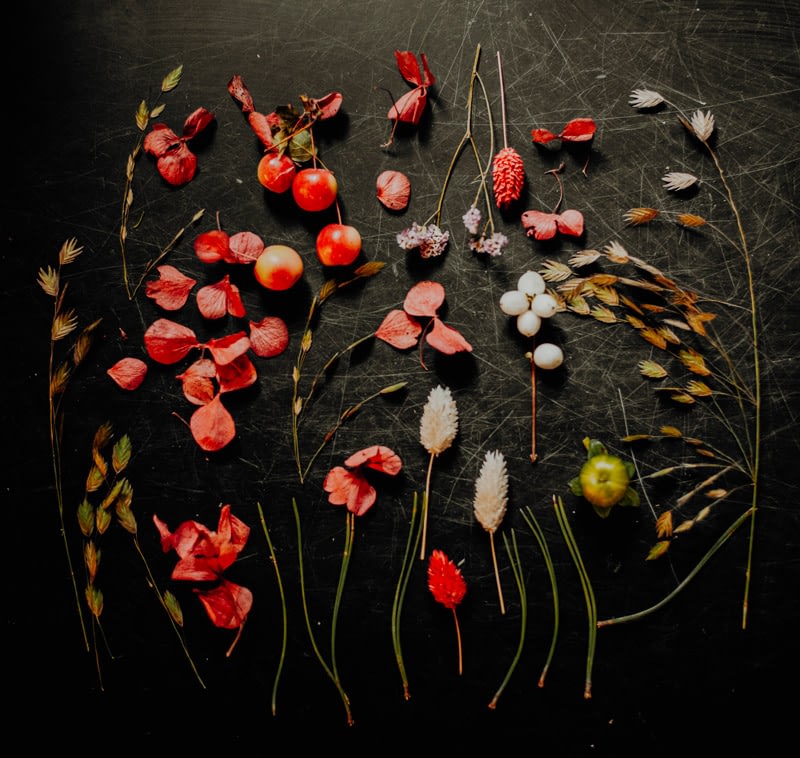 Compositions automnales avec branchages et fleurs de saisons